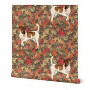 Brown and White Smooth Fox Terrier in Autumn Leaves