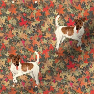 Brown and White Smooth Fox Terrier in Autumn Leaves