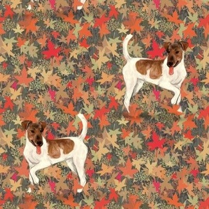 Brown and White Smooth Fox Terrier in Autumn Leaves