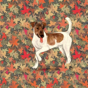 Brown and White Smooth Fox Terrier on Autumn Leaves for Pillow