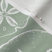 Sand Dollar L - Sage Green