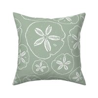 Sand Dollar L - Sage Green