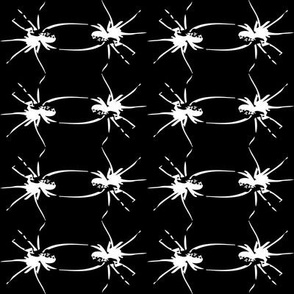 Dancing Spiders on black