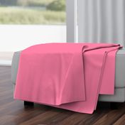 Bubblegum Pink Solid Color Coordinate