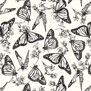 Fly My Butterfly - Medium Outline Black and white