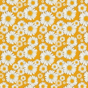 Daisies 