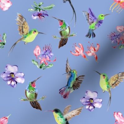 Hummingbird & Flowers - Blue