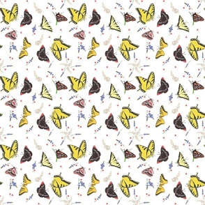 SB6W - Tossed Butterflies - white