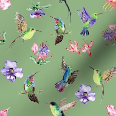 Hummingbird Flowers - Green