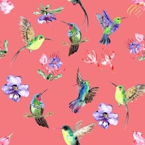 Humming bird fabric-Dark Salmon