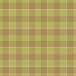 plaid_check_willow_green_A3B562