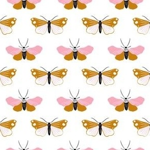 Mia's Moths