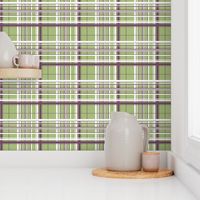 White & Purple Plaid w/ Green Background