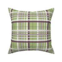 White & Purple Plaid w/ Green Background