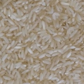 Rice, Endless