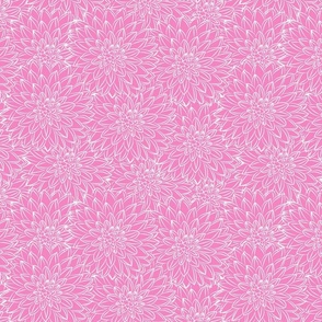 Dahlia Bloom Boom - Pink