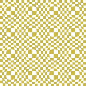 Optical Illusion Checkerboard
