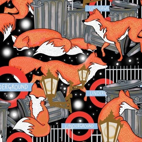Urban foxes
