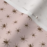 Brown and pink spiders