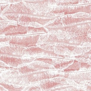 Banana Leaves Texture - Blush Pink - Horizontal / Medium