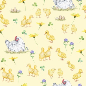 Baby Chicks On Yellow