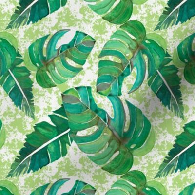 Tropical Leaves in Greens