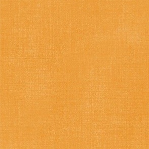 Carrot Orange Canvas