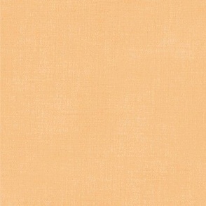 Orange Sorbet Canvas 