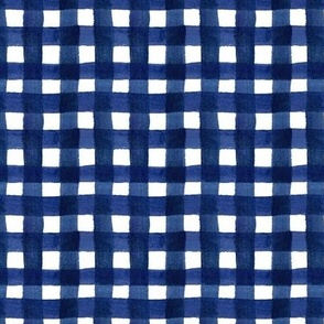 watercolor gingham navy