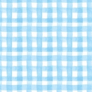 watercolor gingham baby blue small