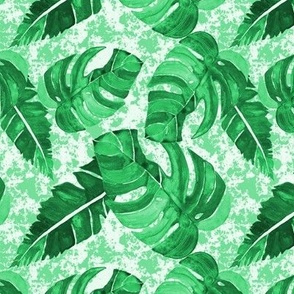 Tropical Leaves in Green