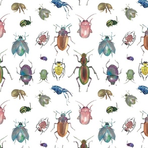 Small Watercolor bugs on White