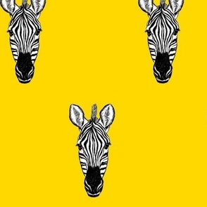 Zebra Face Fabric, Wallpaper and Home Decor | Spoonflower