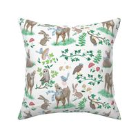 Woodland Fawns  Forest Friends