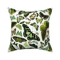 Green Butterflies Fabric