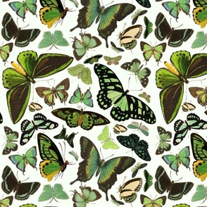 Green Butterflies Fabric