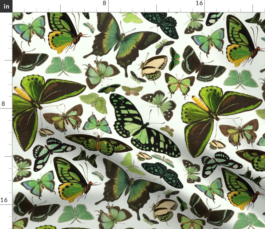 Green Butterflies Fabric