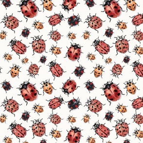 ladybug collection on white_small scale