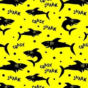 Crazy Shark