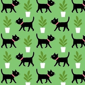 Cats and house plants on mint green