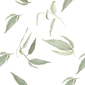 Eucalyptus Leaves White_Iveta Abolina