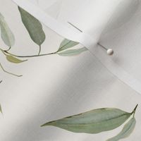 Eucalyptus Leaves Neutral_Iveta Abolina