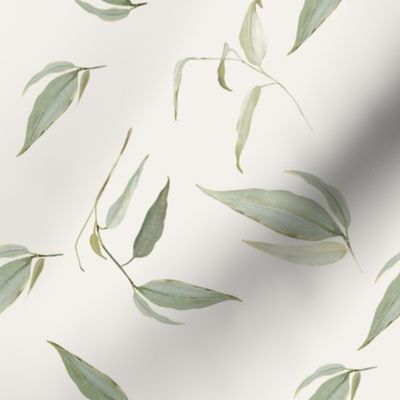 Eucalyptus Leaves Neutral_Iveta Abolina