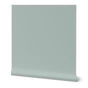 Ash gray solid color 