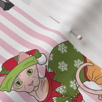 Pink Christmas Stripe Sphynx Cats