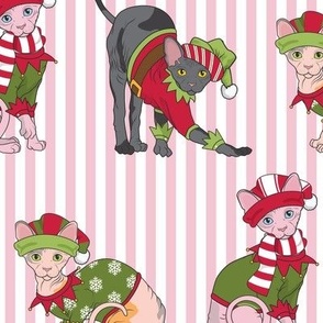 Pink Christmas Stripe Sphynx Cats