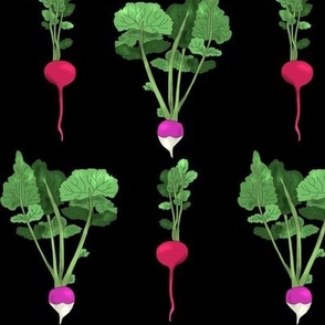 Radish and Turnip on Black