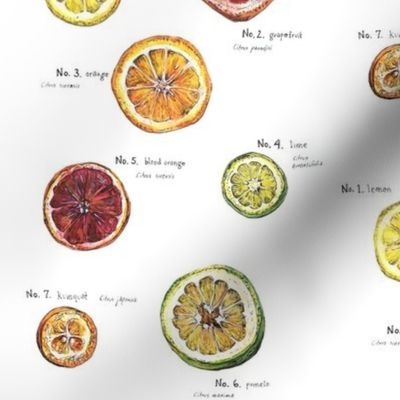 Citrus Pattern with Names