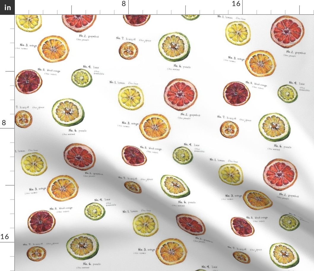 Citrus Pattern with Names