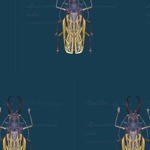 Vintage Insect Longhorn Beetle